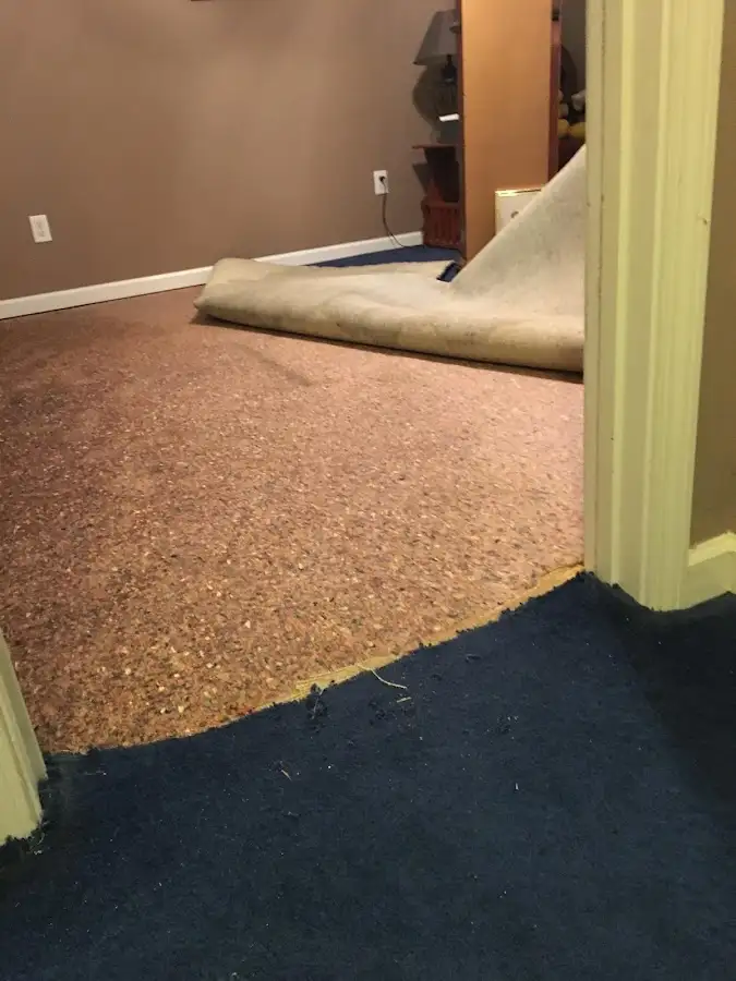 Carpet pad removal revealing water damage during Drying & Dehumidification in Lakeland South